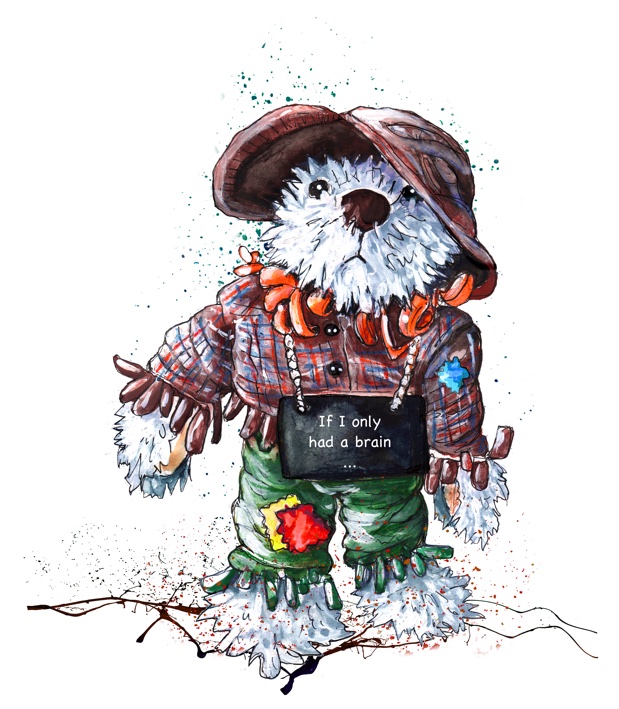 If I Only Had A Brain S